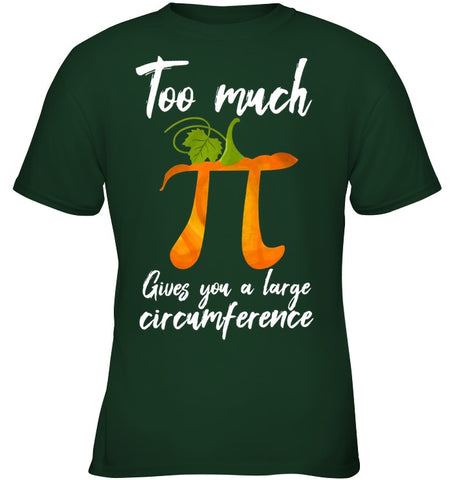 Too Much Pi Gives You A Large Circumference T-Shirt - Youth Tee - Ladies V-Neck