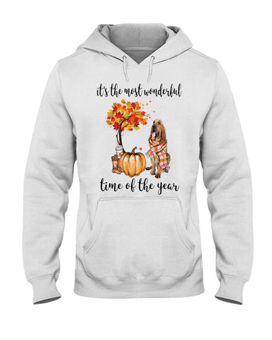 Bloodhound The Most Wonderful Time T-Shirt - Hoodie - Ladies Tee