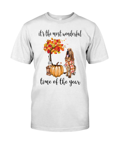 Bloodhound The Most Wonderful Time T-Shirt - Guys Tee - Sweatshirt