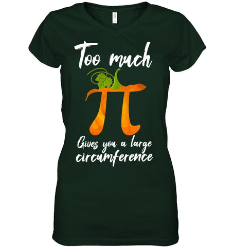 Too Much Pi Gives You A Large Circumference T-Shirt - Youth Tee - Ladies V-Neck