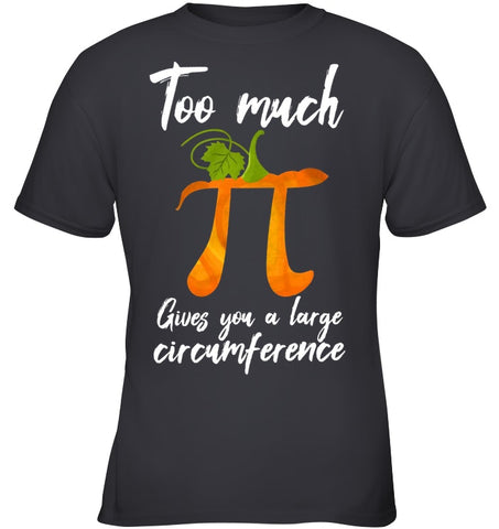 Too Much Pi Gives You A Large Circumference T-Shirt - Youth Tee - Ladies V-Neck