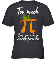 Too Much Pi Gives You A Large Circumference T-Shirt - Youth Tee - Ladies V-Neck