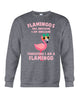 Image of Flamingos Are Awesome Limited Classic T-Shirt - Guys Tee - Sweatshirt