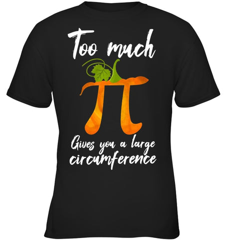 Too Much Pi Gives You A Large Circumference T-Shirt - Youth Tee - Ladies V-Neck