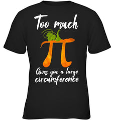 Too Much Pi Gives You A Large Circumference T-Shirt - Youth Tee - Ladies V-Neck