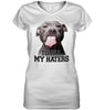 Image of Pit Bull To All My Hater Limited Classic T- Shirt - Unisex Long Sleeve - Ladies V-Neck