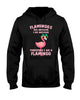 Image of Flamingos Are Awesome Limited Classic T-Shirt - Ladies Tee - Hoodie