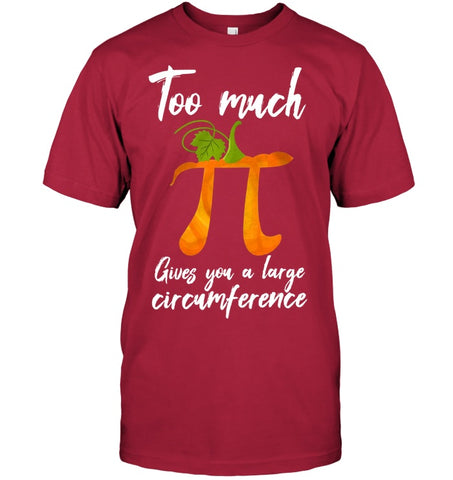 Too Much Pi Gives You A Large Circumference T-Shirt - Guys Tee - Ladies Tee