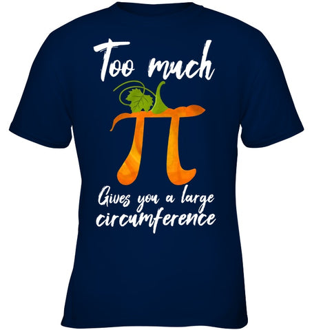 Too Much Pi Gives You A Large Circumference T-Shirt - Youth Tee - Ladies V-Neck