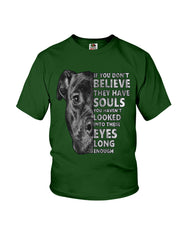 Look Into Pitbull's Eye T-Shirt - Youth Tee - Hoodie