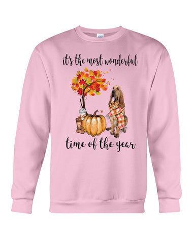 Bloodhound The Most Wonderful Time T-Shirt - Guys Tee - Sweatshirt