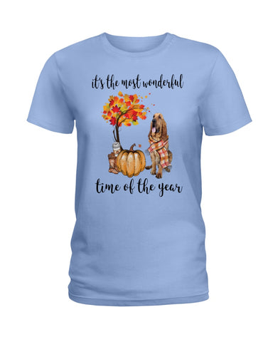 Bloodhound The Most Wonderful Time T-Shirt - Hoodie - Ladies Tee