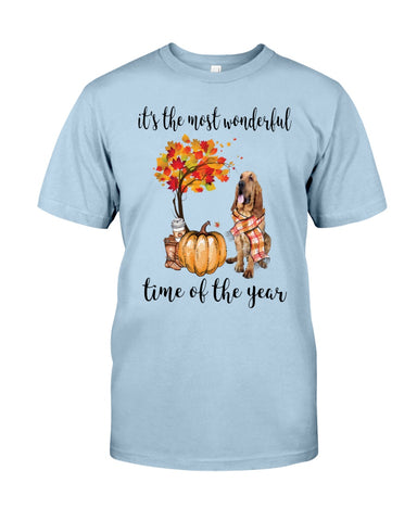 Bloodhound The Most Wonderful Time T-Shirt - Guys Tee - Sweatshirt