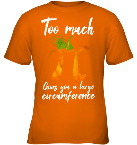 Too Much Pi Gives You A Large Circumference T-Shirt - Youth Tee - Ladies V-Neck