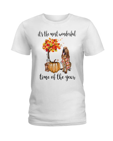 Bloodhound The Most Wonderful Time T-Shirt - Hoodie - Ladies Tee