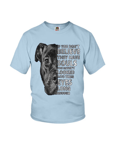 Look Into Pitbull's Eye T-Shirt - Youth Tee - Hoodie