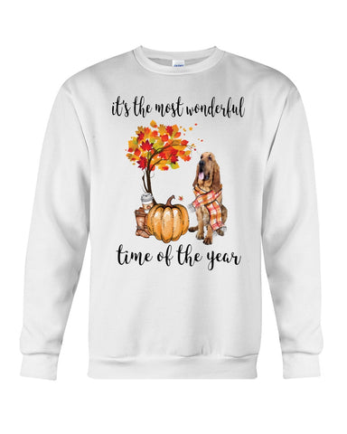 Bloodhound The Most Wonderful Time T-Shirt - Guys Tee - Sweatshirt