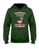 Image of Flamingos Are Awesome Limited Classic T-Shirt - Ladies Tee - Hoodie