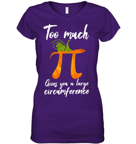 Too Much Pi Gives You A Large Circumference T-Shirt - Youth Tee - Ladies V-Neck