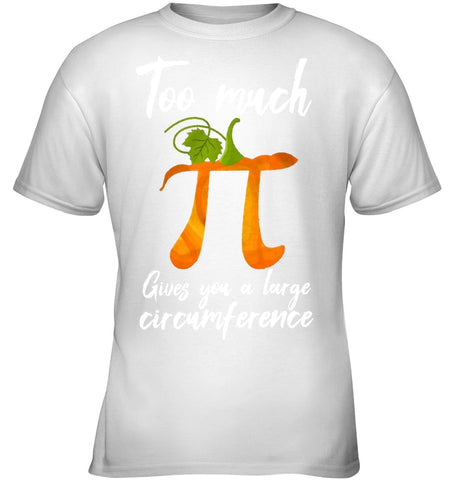 Too Much Pi Gives You A Large Circumference T-Shirt - Youth Tee - Ladies V-Neck