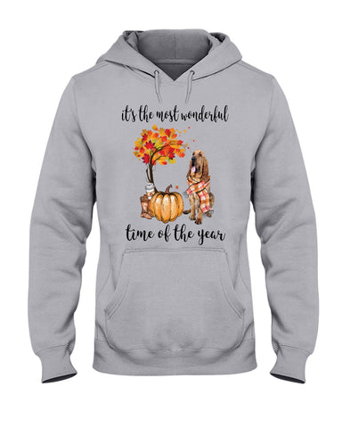 Bloodhound The Most Wonderful Time T-Shirt - Hoodie - Ladies Tee