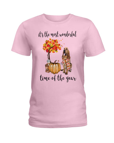 Bloodhound The Most Wonderful Time T-Shirt - Hoodie - Ladies Tee